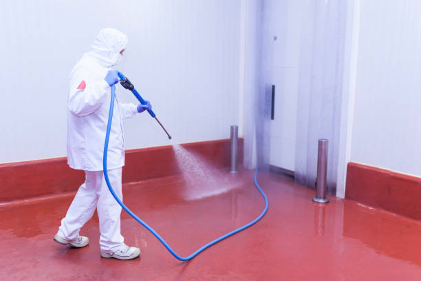 Best Dumpster Area Cleaning  in Pine City, MN