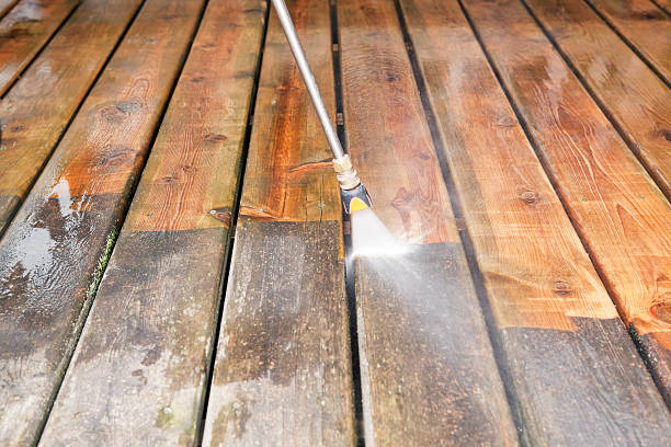 Best Building Exterior Washing  in Pine City, MN