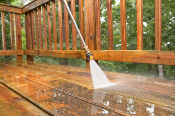 Best Driveway Pressure Washing  in Pine City, MN